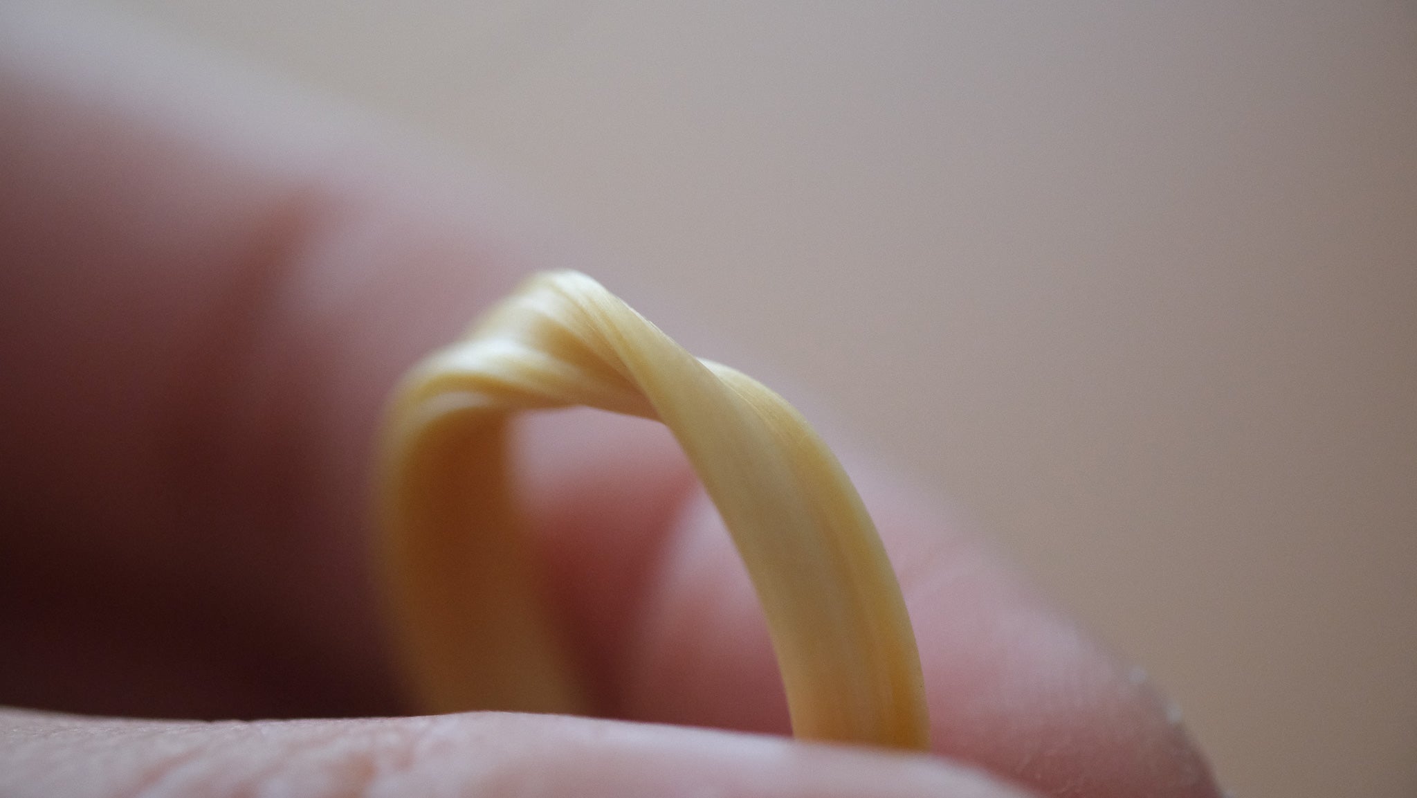 A close-up of a hand holding a twisted, ribbon-like mitsuro hikime ring against a soft beige background.
