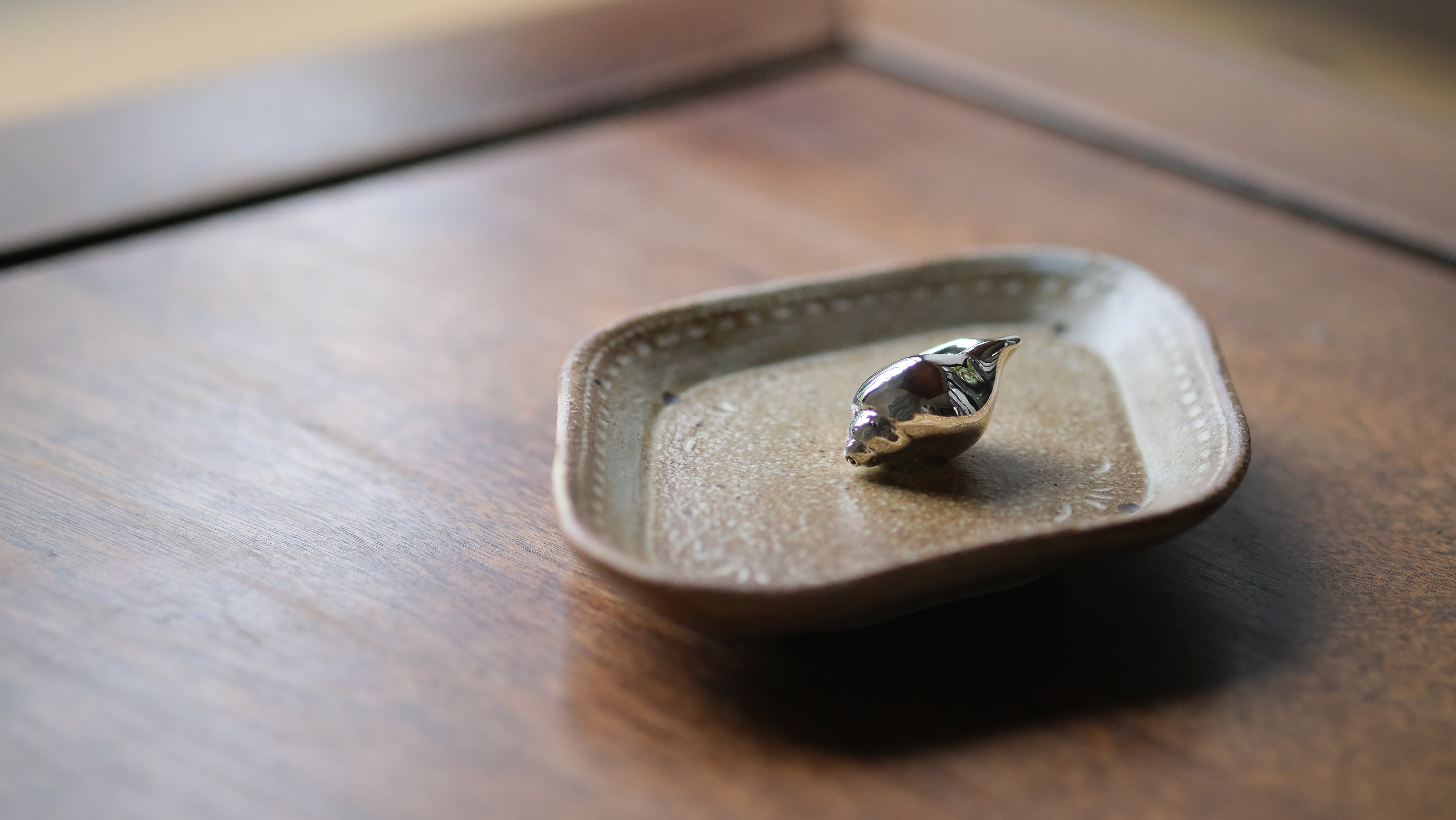 Silver shell on a ceramic dish on a wooden surface