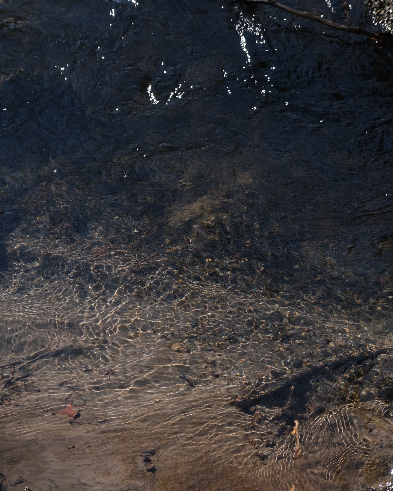 Close-up of water surface with reflections and ripples